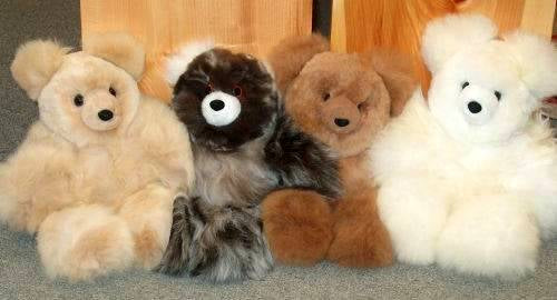Alpaca & Friends