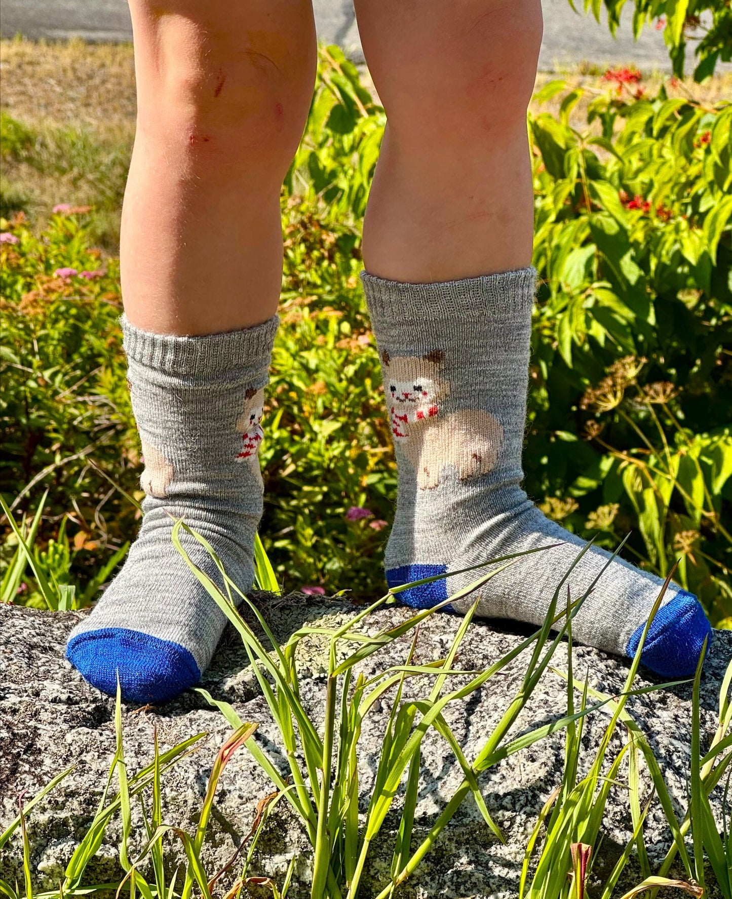 Alpaquita Cutie Socks