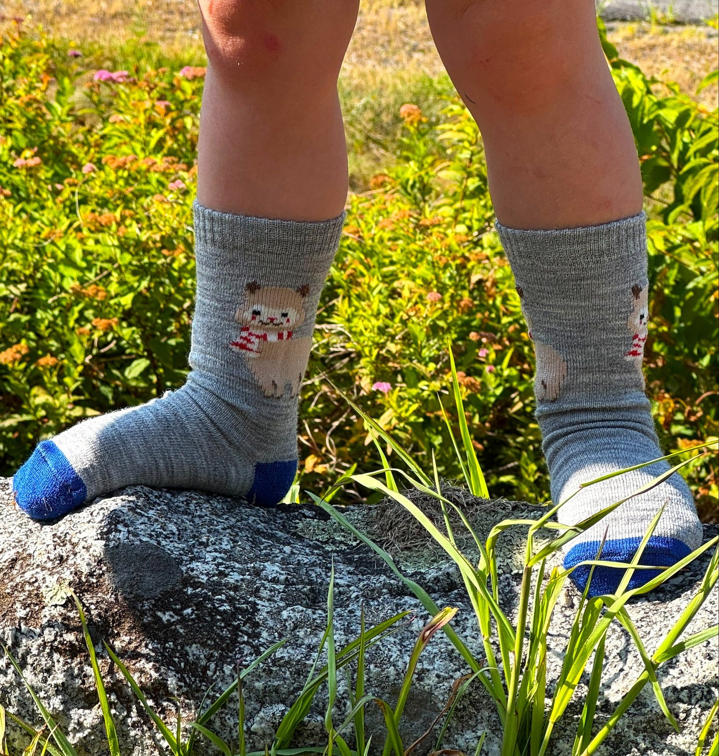 Alpaquita Cutie Socks