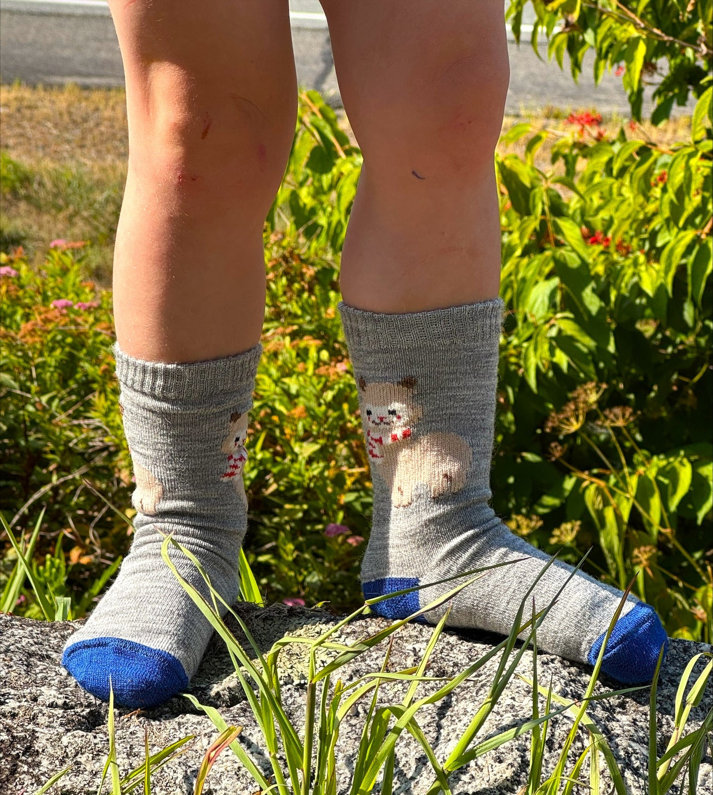 Alpaquita Cutie Socks