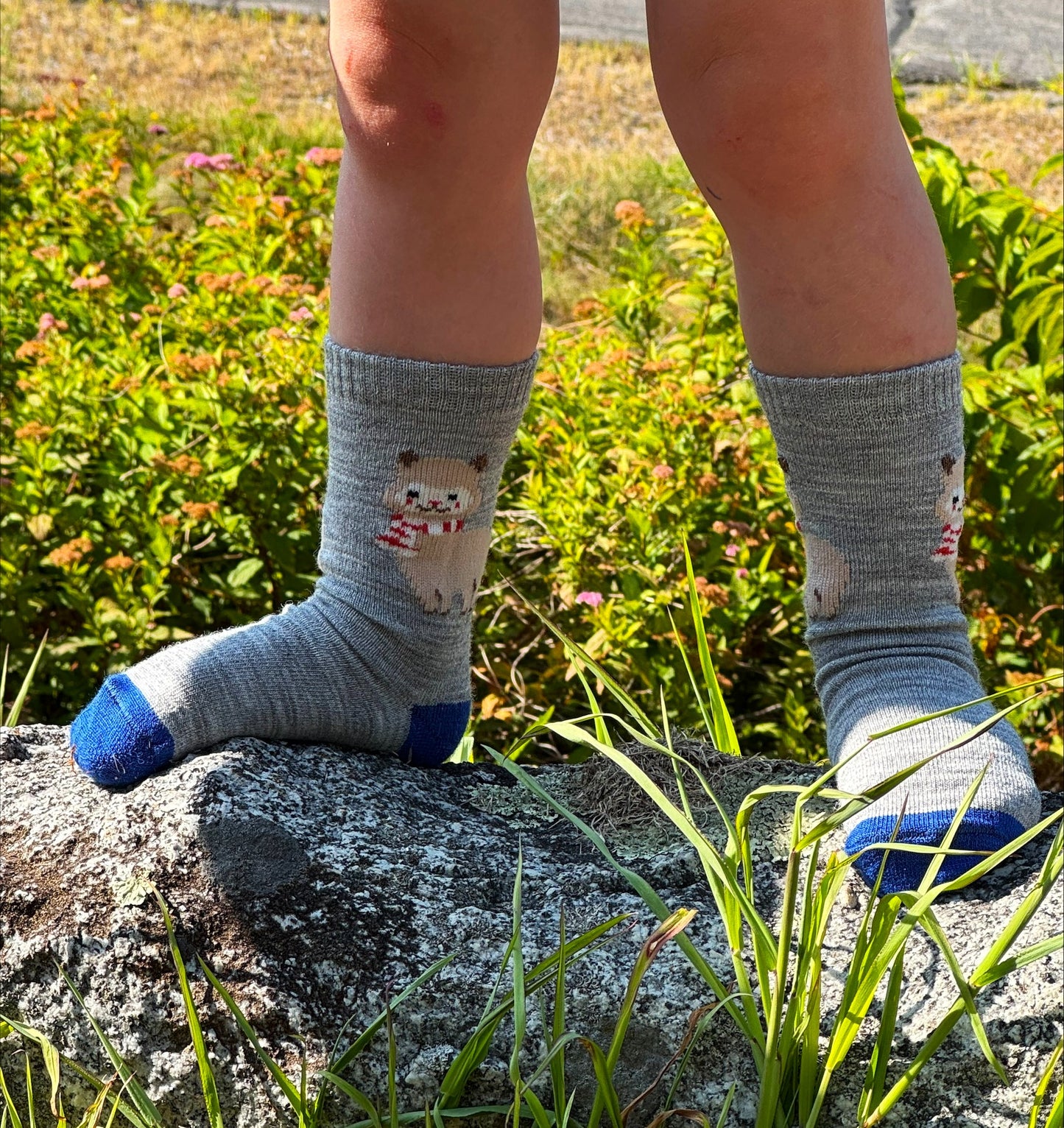 Alpaquita Cutie Socks