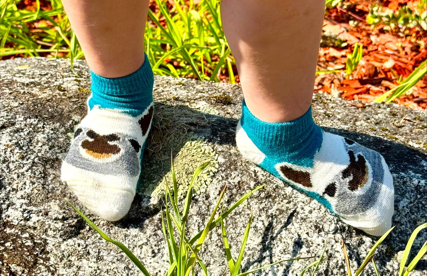 Face Sock Jr