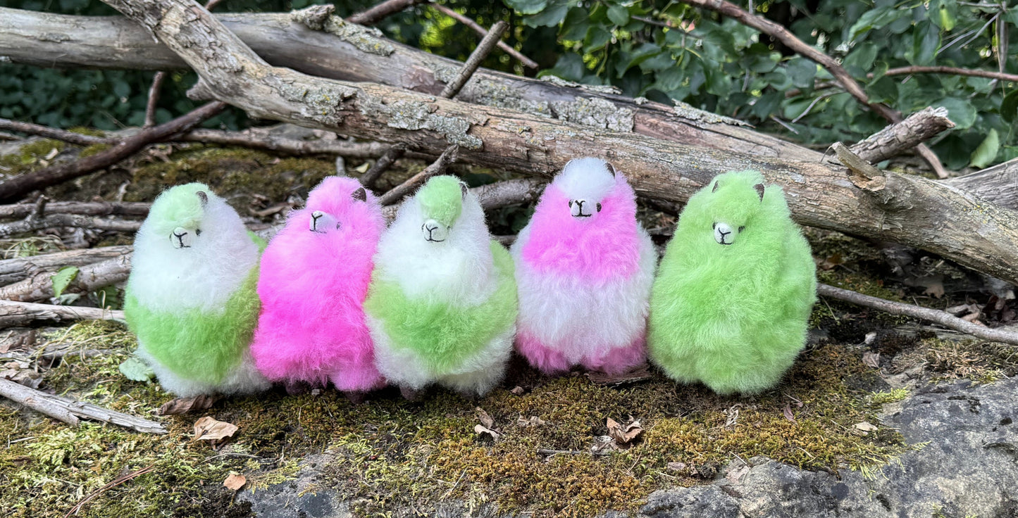 5" Parfait Alpacas
