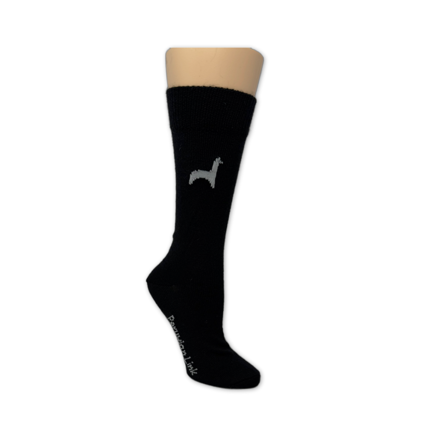 Aldo Socks