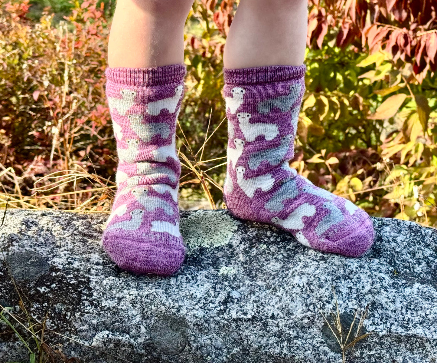 Motif Sock Jr