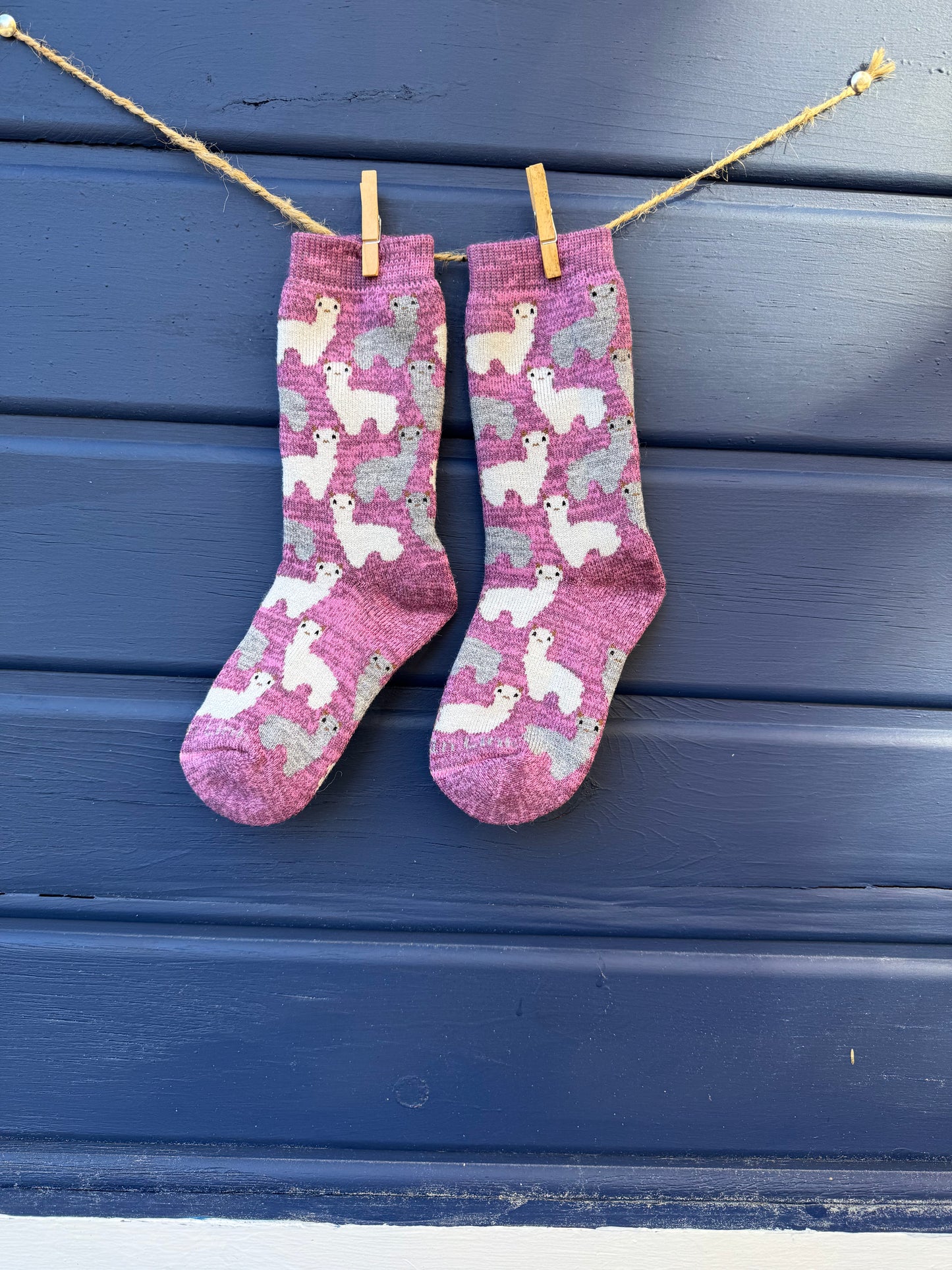Motif Sock Jr