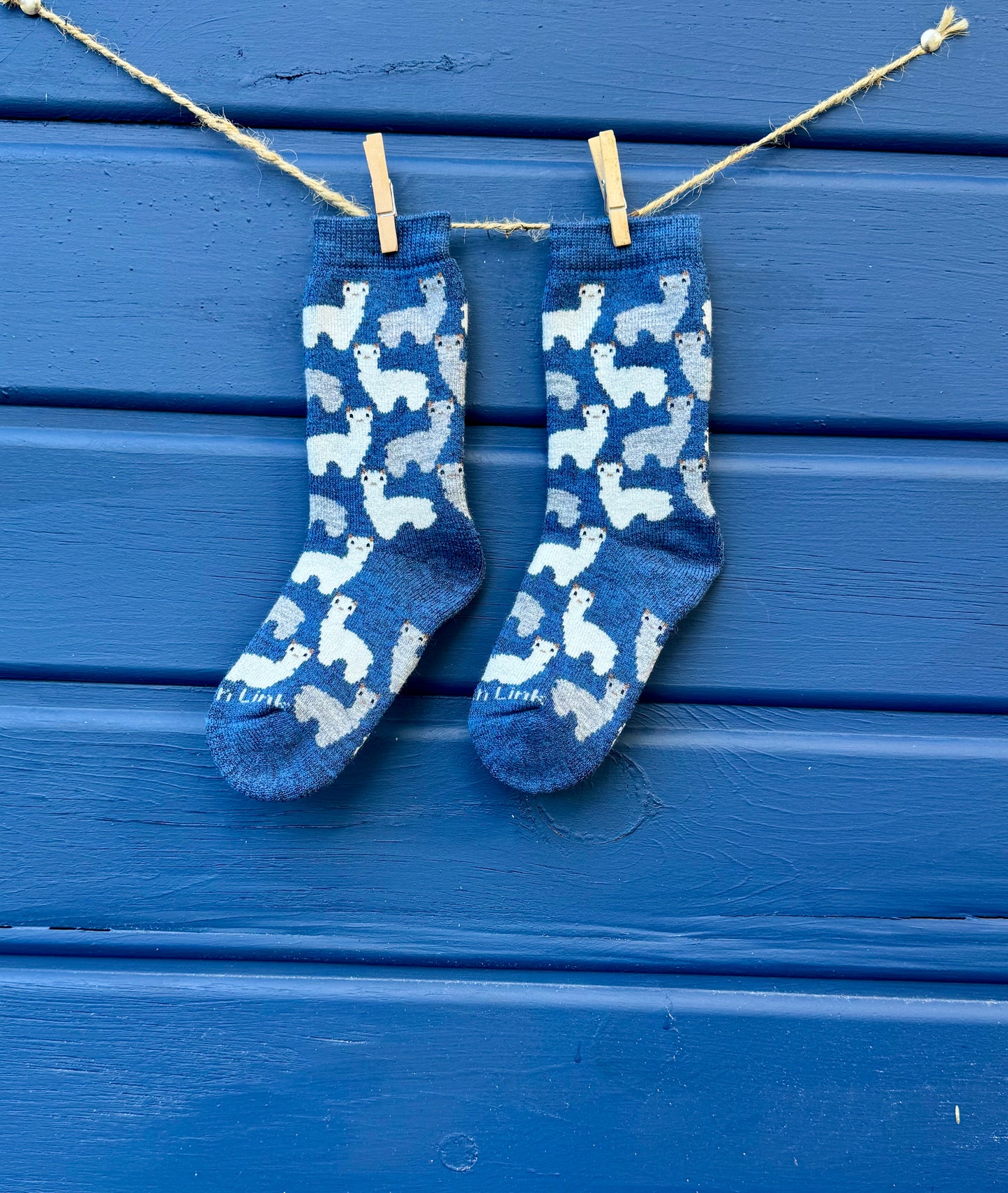Motif Sock Jr
