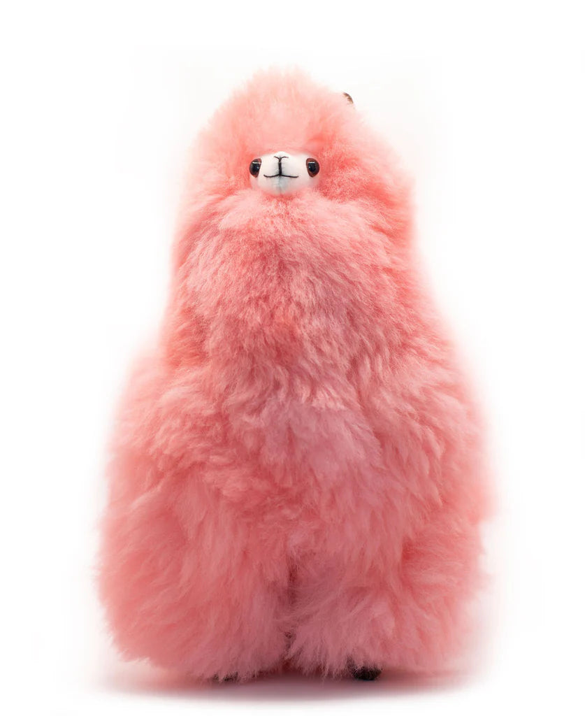 Parfait Alpacas