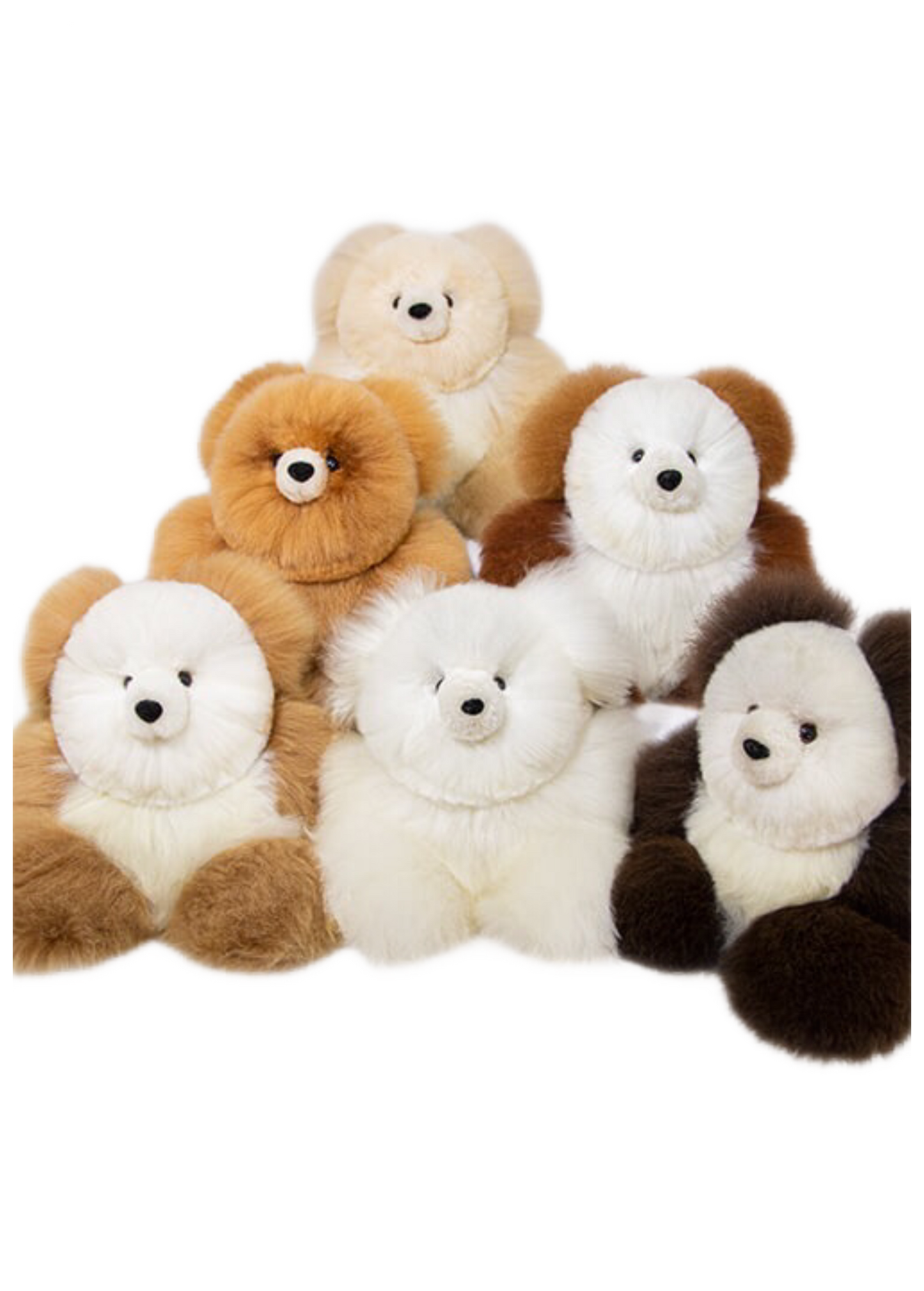 Teddy Bear 12"