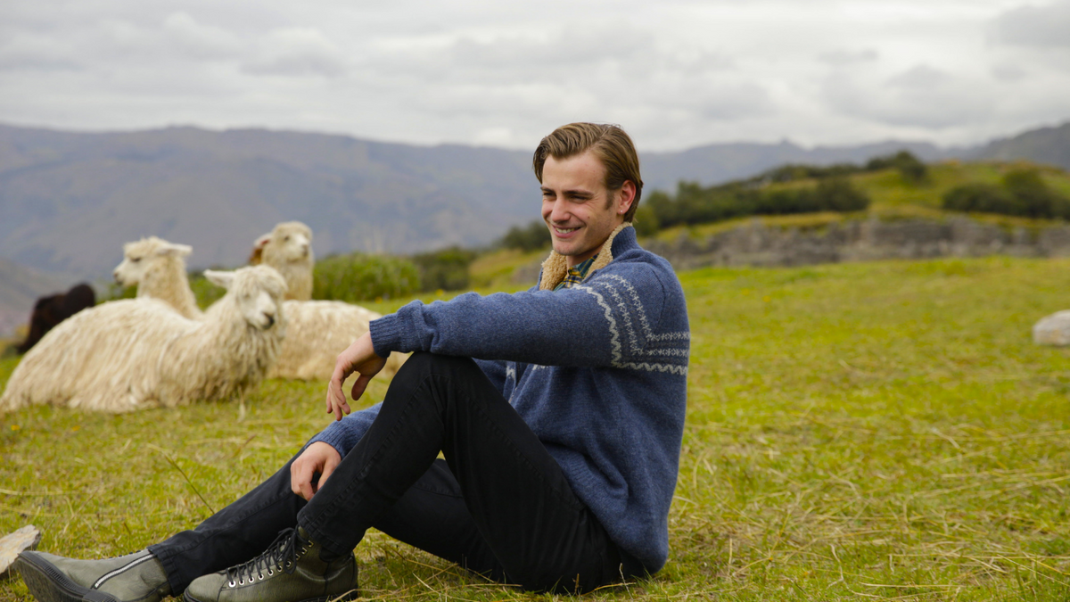 Alpaca Favorites