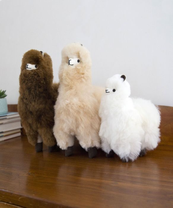 Alpaca & Friends 1