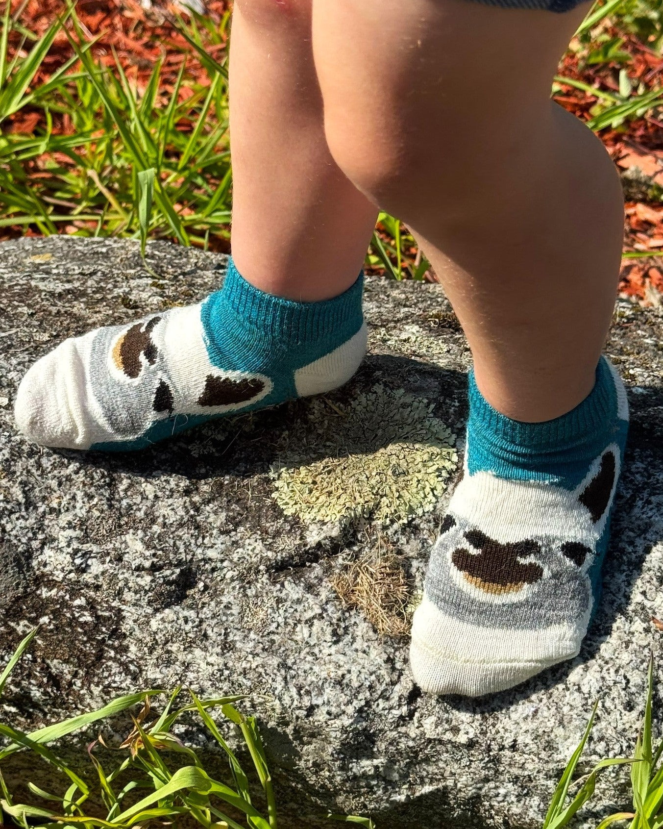 Face Sock Jr