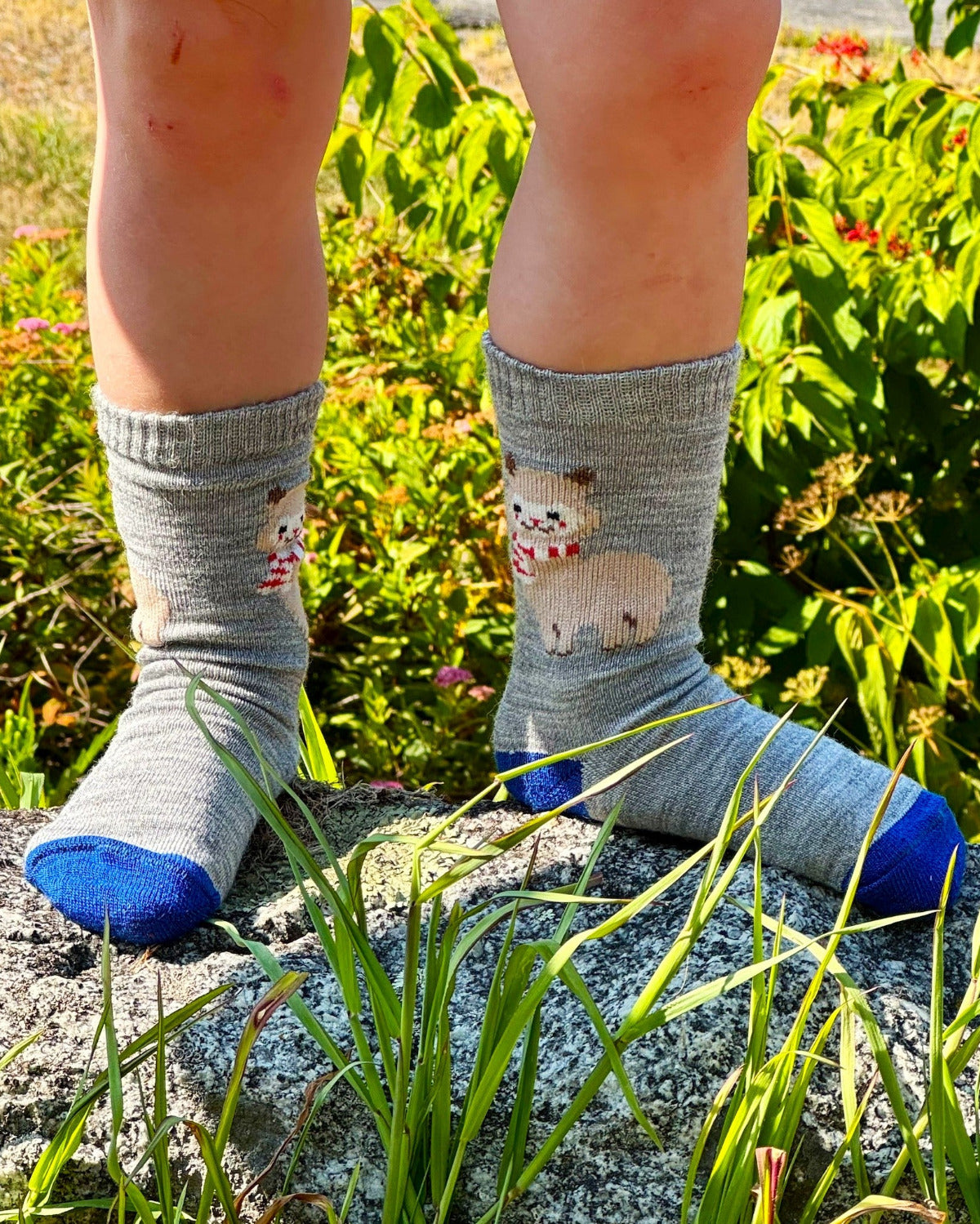 Alpaquita Cutie Socks
