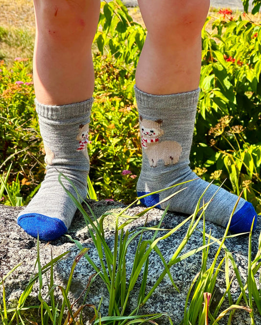 Alpaquita Cutie Socks