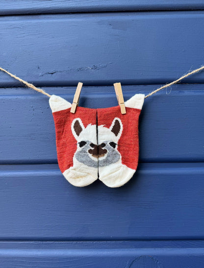 Face Sock Jr