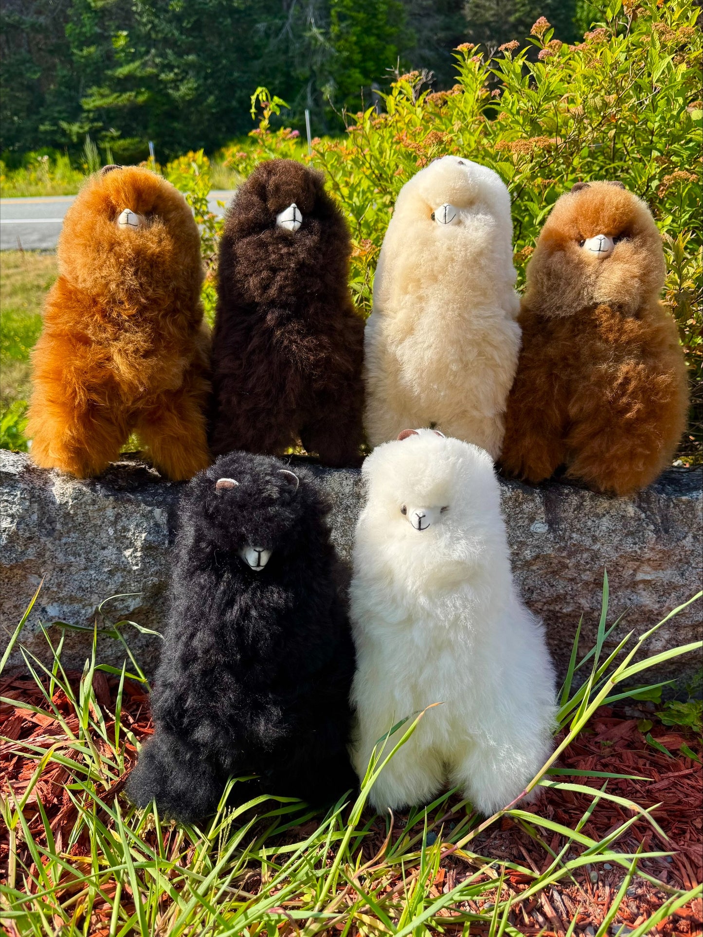Standing Alpaca - 12"