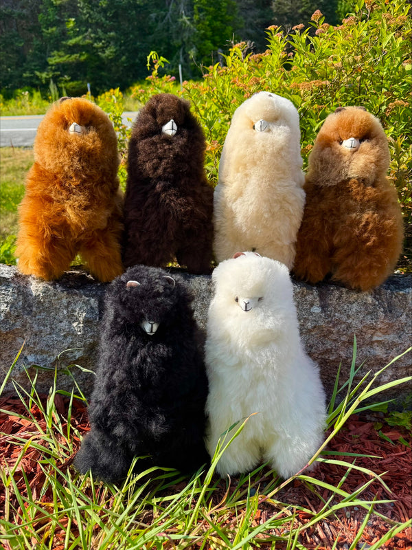 Standing Alpaca - 12" — 12" alpaca by Peruvian Link