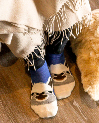 Alpaca Face Sock
