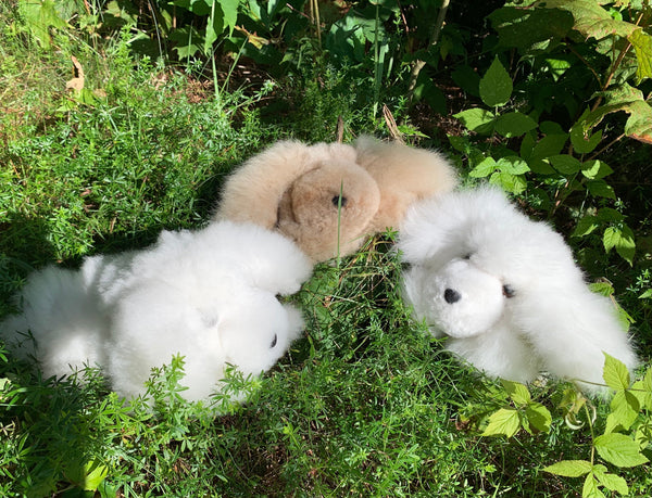 Sleepy Puppy — único baby alpaca by Peruvian Link