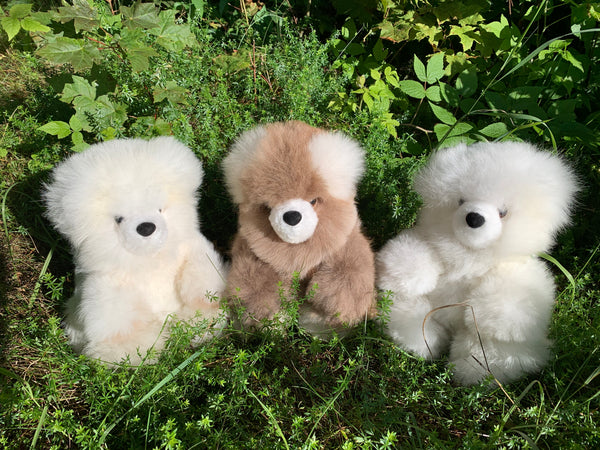 Sitting Teddy Bear — único baby alpaca by Peruvian Link