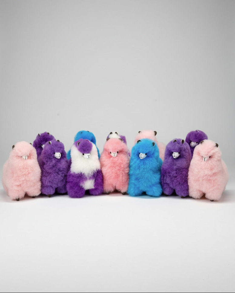 Parfait Alpacas