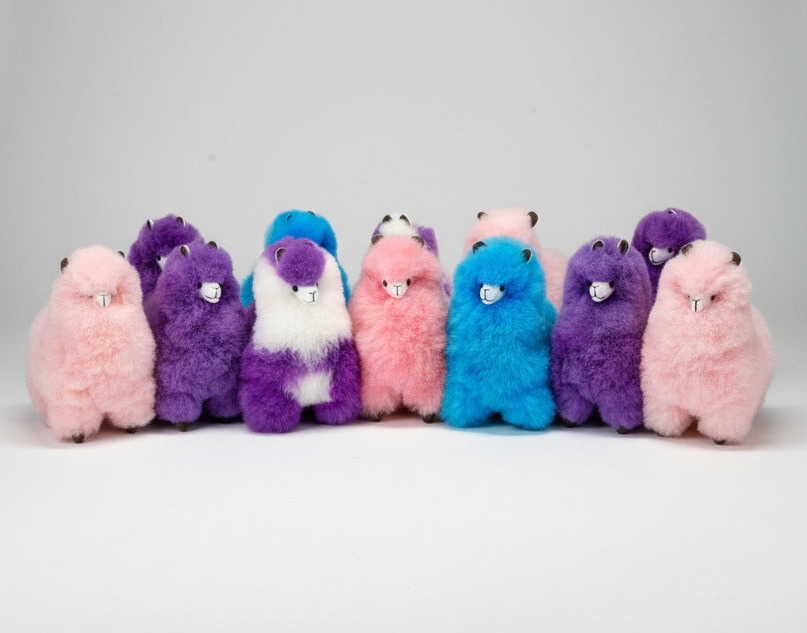 Parfait Alpacas