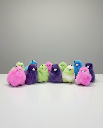 Parfait Alpacas