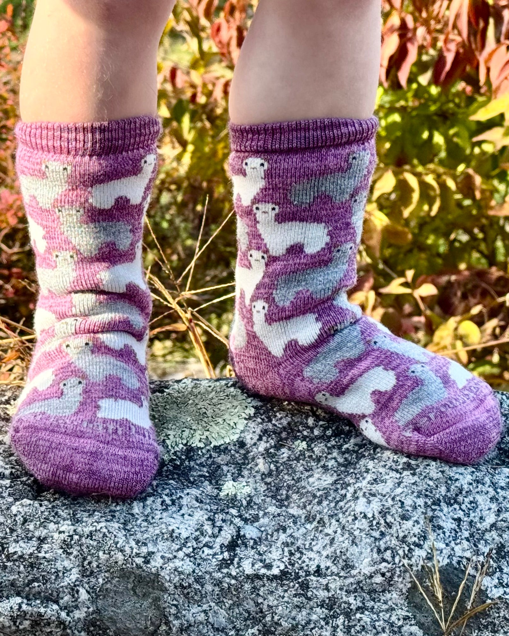 Motif Sock Jr