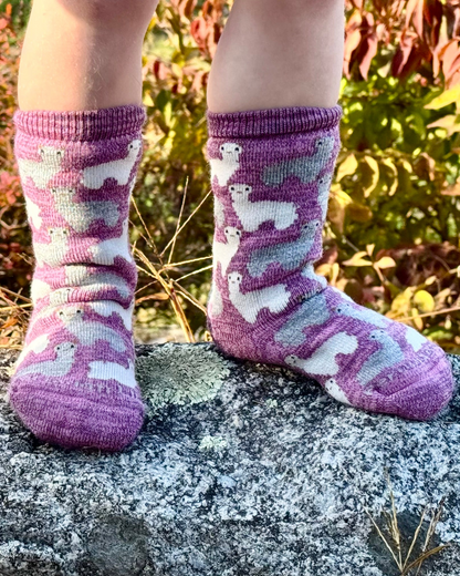 Motif Sock Jr
