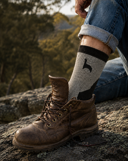 Hiker Socks