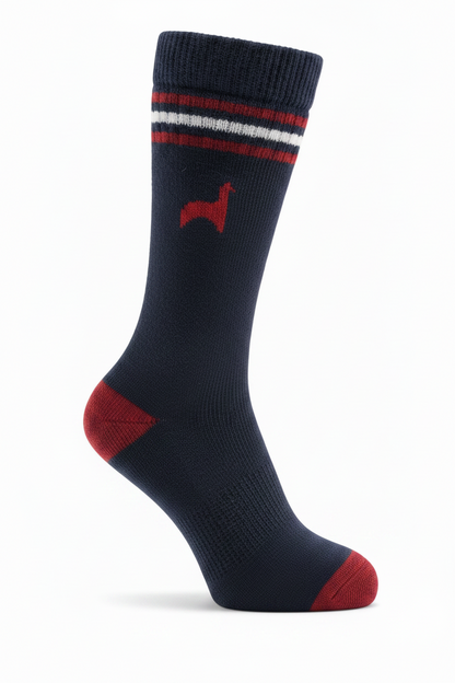 Courtyard Socks
