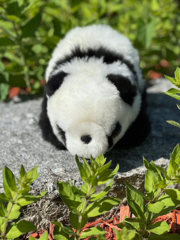 Walking Panda — único baby alpaca by Peruvian Link