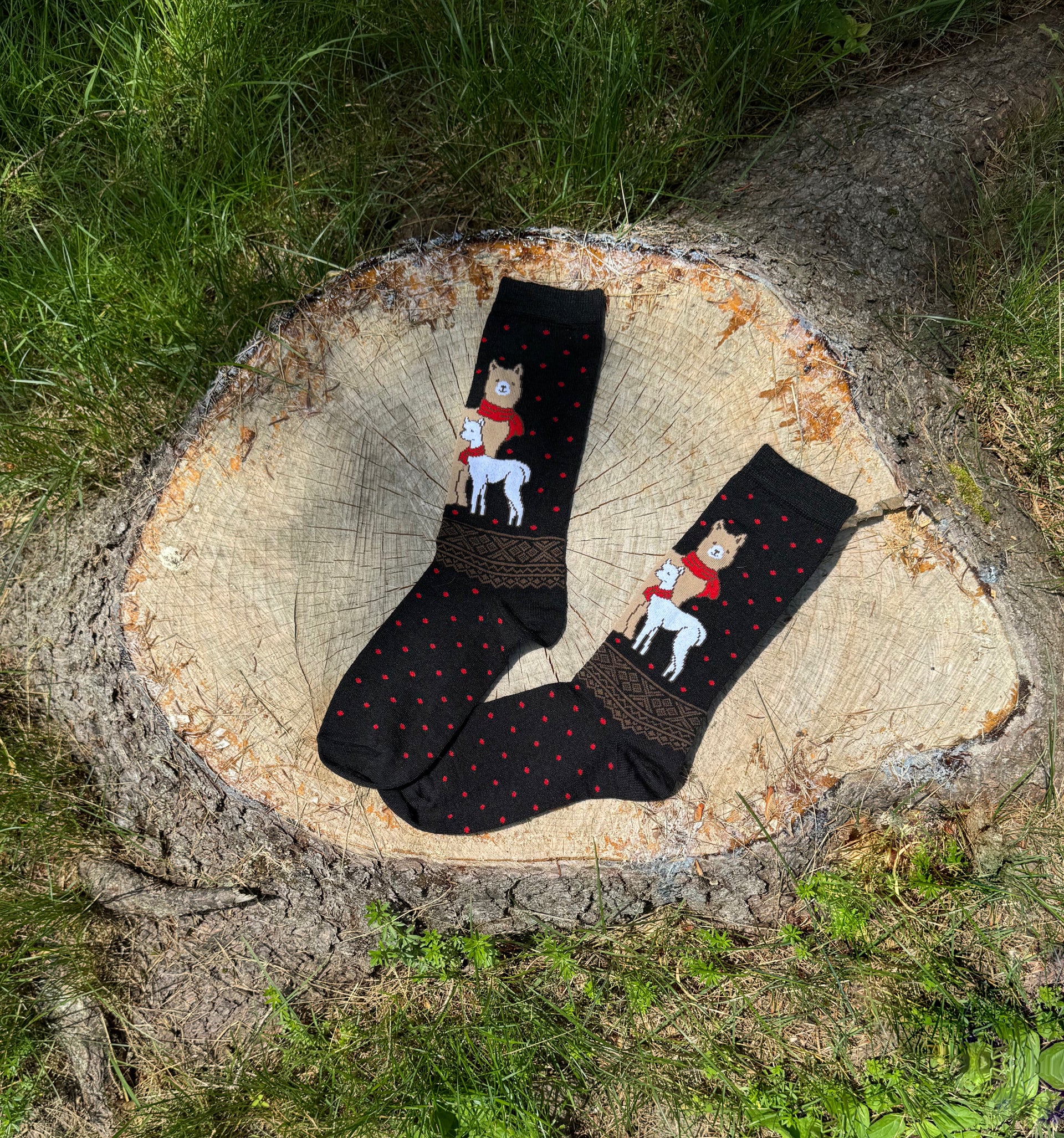 Xmas Cria Socks