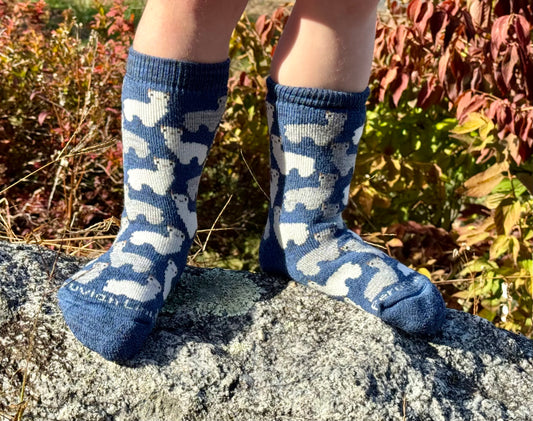 Motif Sock Jr