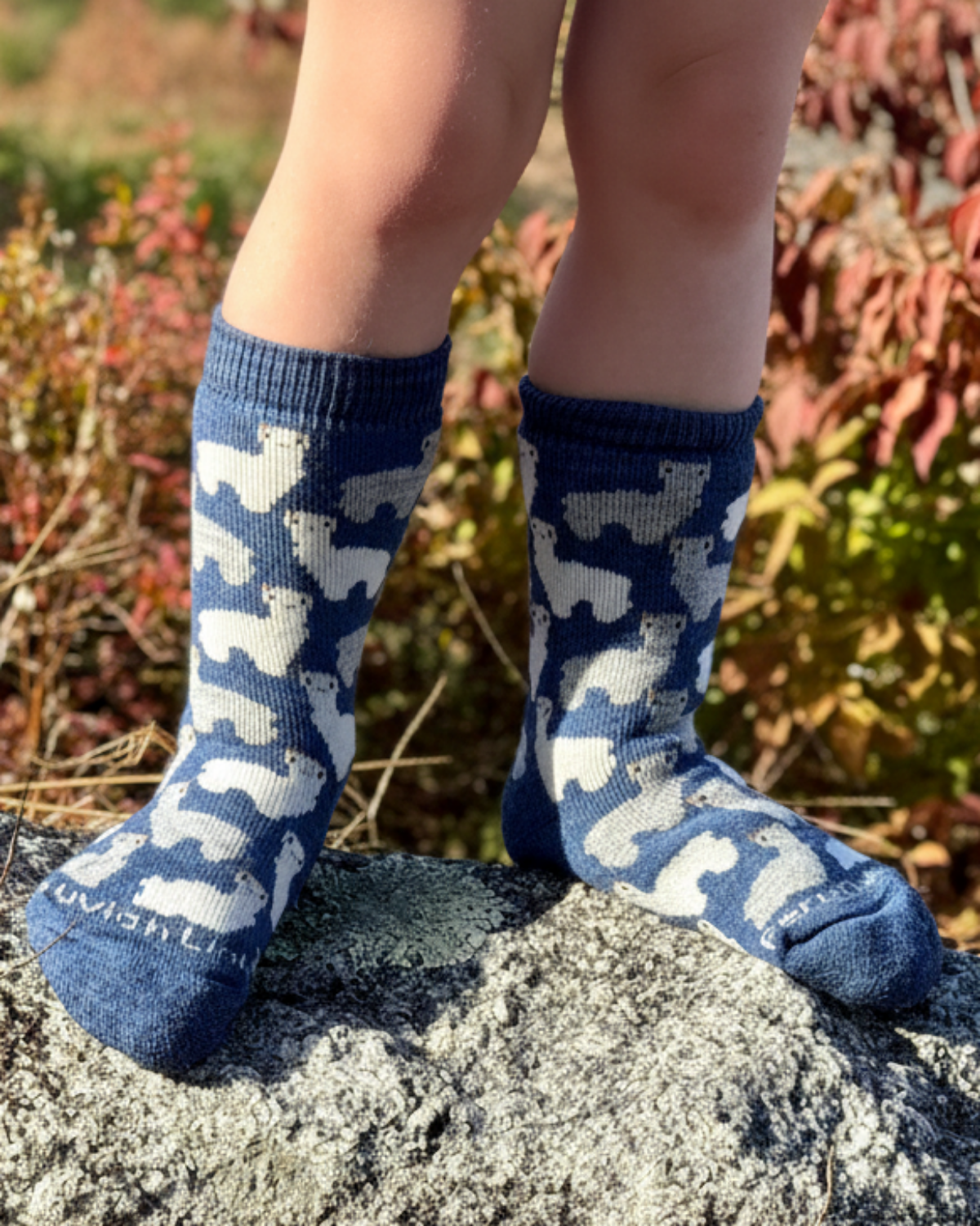Motif Sock Jr