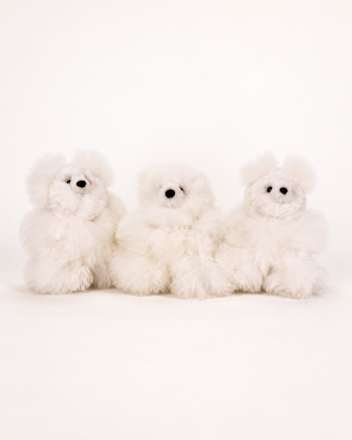 Mini Teddy Bear