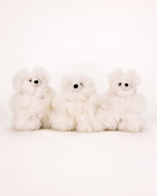 Mini Teddy Bear