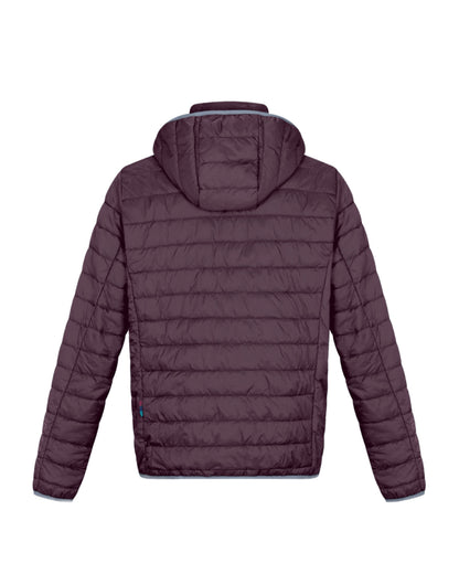 Alpafill Plum Mens