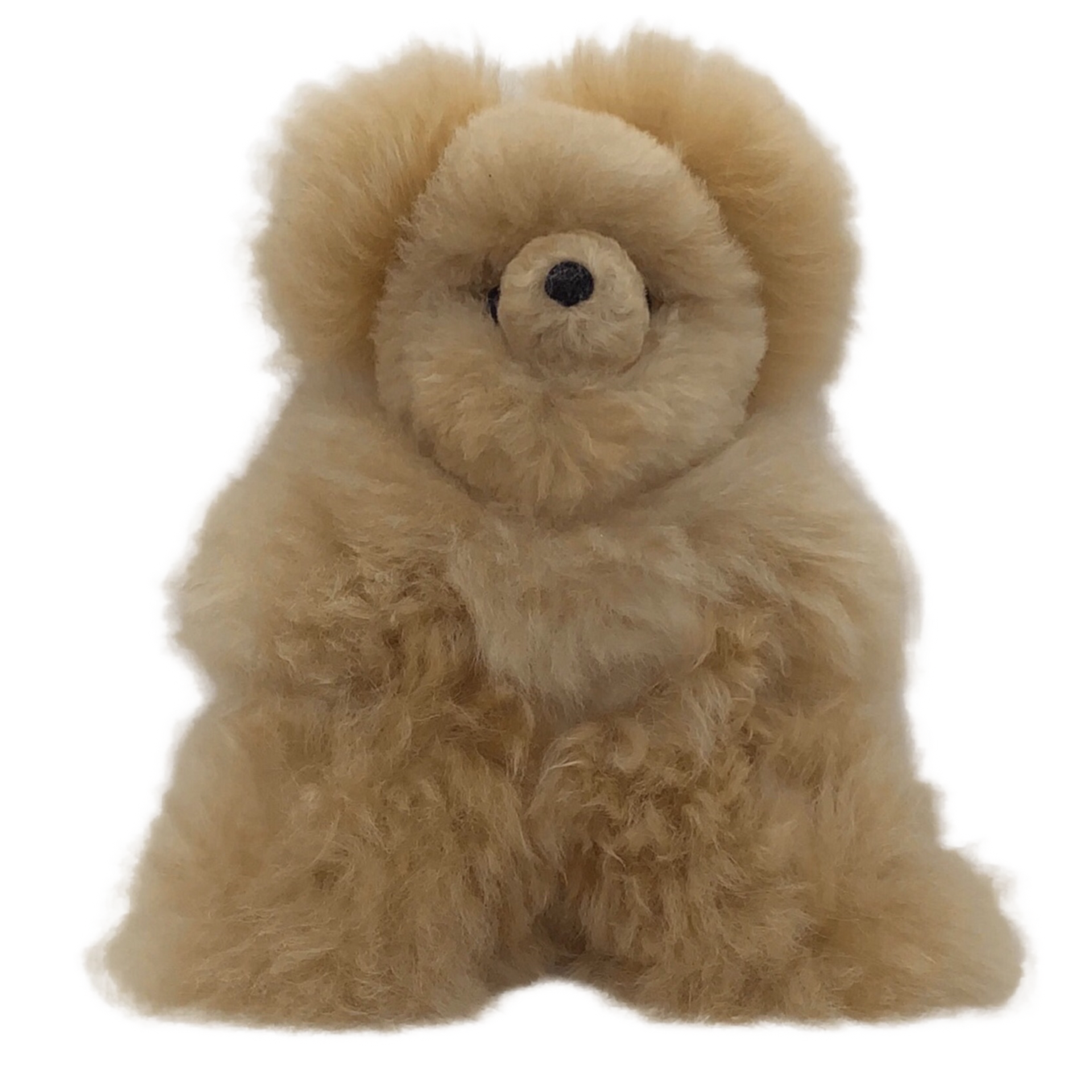 Teddy Bear 10