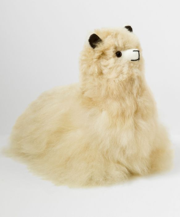 Cushing Alpaca