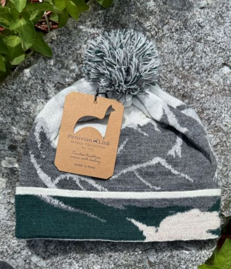 The Alpaca Slope Hat