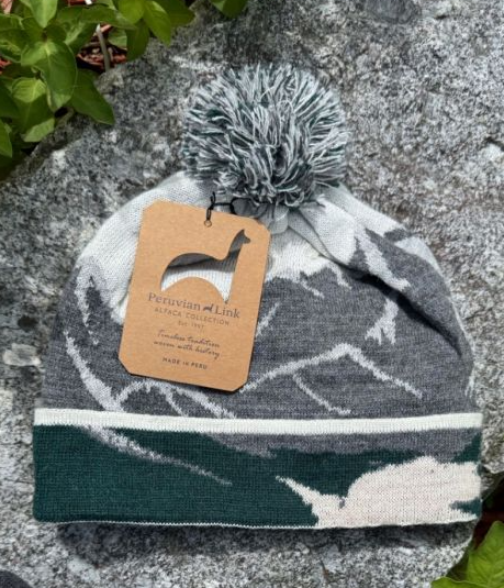 Alpaca Slope Hat — Green — green alpaca by Peruvian Link