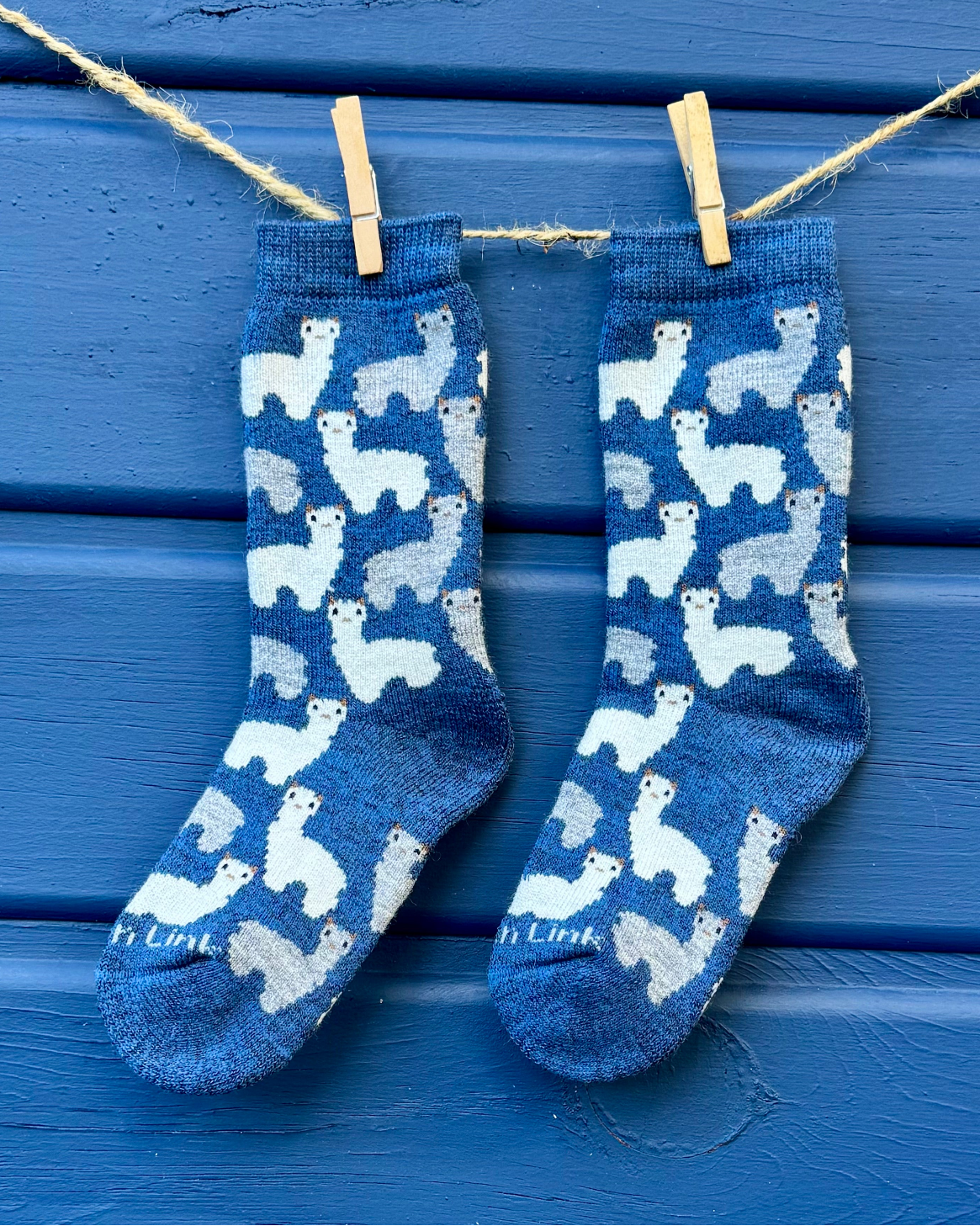 Motif Sock Jr