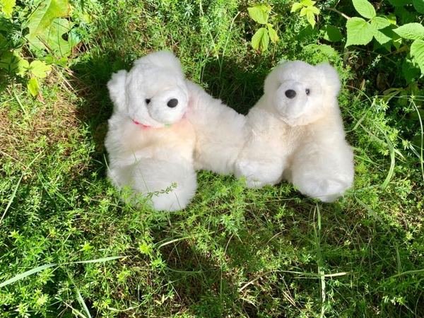 Polar Bear — único baby alpaca by Peruvian Link